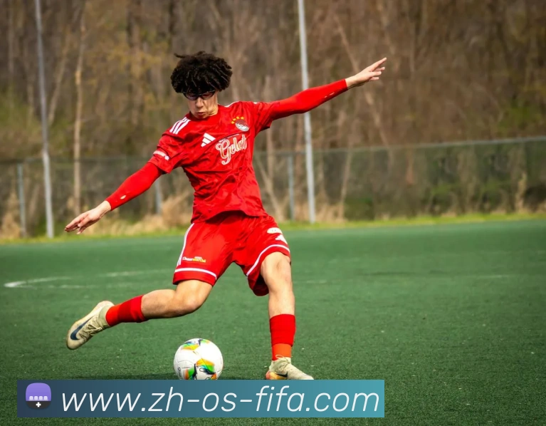 世界杯买球服务体系