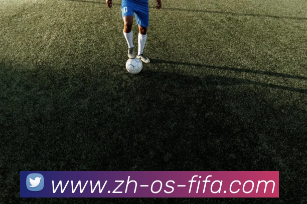 奖项证书