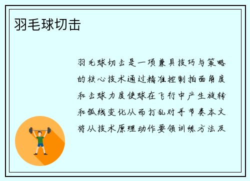 羽毛球切击
